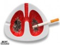 /album/vtipne-obrazky/ash-tray-jpg/